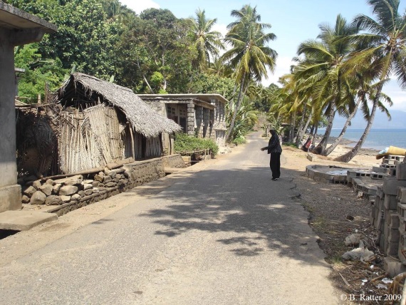 Comores Anjouan-Kamardine-Sinane_Ratter 2009.jpg